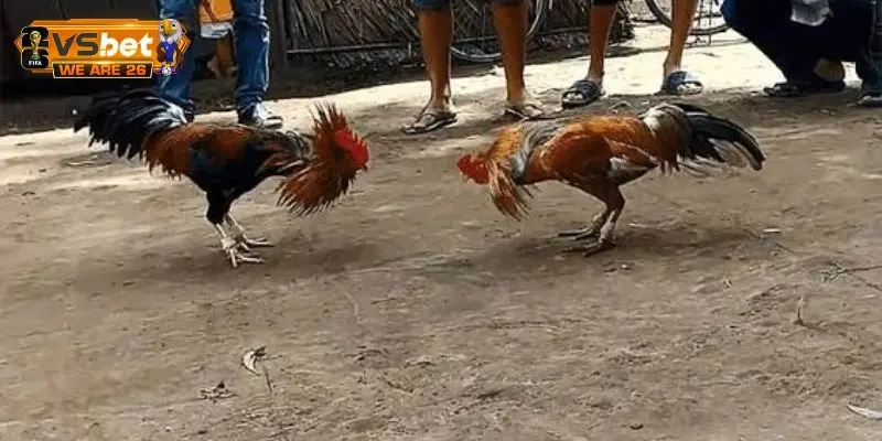 Kinh nghiệm thẩm định bảng thành tích chiến kê